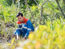 Hutan Lestari Pertamina: Menyatu dengan Alam, Membawa Kesejahteraan