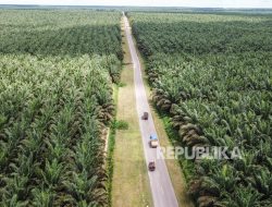 Merawat Angsa Berkandang Emas