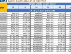 Angsuran ringan KUR BRI 2026: Tabel untuk pinjaman Rp10 juta-Rp50 juta