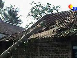 Viral, Rumah di Karangawen Pati Dihancurkan Mesin Berat. Hasil Kerja Pekerja Migran