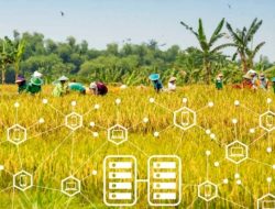 PepsiCo-National Geographic Dukung Penelitian Global, Soroti Inovasi Pertanian AI di Indonesia