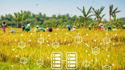 PepsiCo-National Geographic Dukung Penelitian Global, Soroti Inovasi Pertanian AI di Indonesia