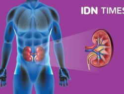 Cara alami meningkatkan kesehatan ginjal