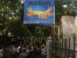 Mengapa Kebun Binatang Bandung Harus Segera Dibuka Kembali