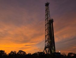 Indef usulan pajak untung besar sektor SDA, manfaatkan potensi pendapatan negara