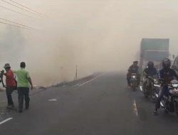 11.189 Titik Api Terdeteksi, WALHI Soroti Karhutla di Konsesi Perusahaan dan Ancaman El Nino 2026