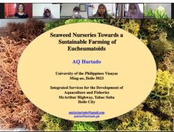 Unhas Kolaborasi dengan Korea Selatan untuk Inovasi Rumput Laut Berkelanjutan