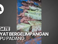 Longsoran Viral di Padang Laweh Malalo, Suara Dentuman Hebat Sebelum Danau Muncul Tiba-Tiba