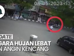 Pengemudi Ojol Tewas Tertimpa Pohon, Istri Baru Tahu di Kamar Jenazah