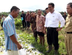 Polemik Ciu Mojolaban, Bupati Sukoharjo Undang Perajin, Sepakat Hanya Produksi Etanol