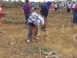 Petani korban bencana diminta bertahan, disarankan tanam ubi di lahan rusak